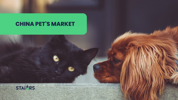 The China’s pet market