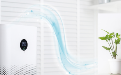 How to Sell Air Purifiers in the Chinese Market