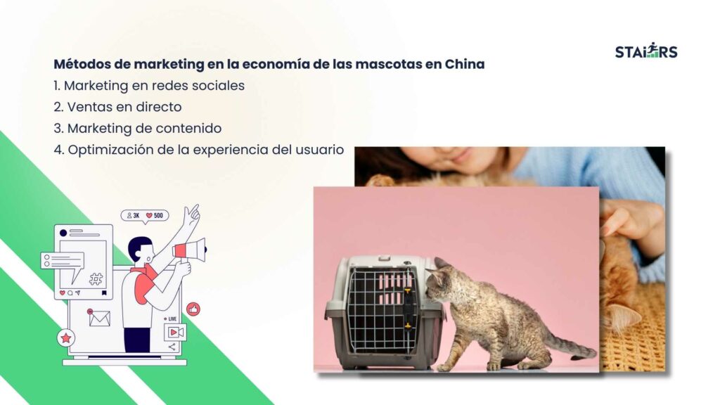 Métodos de Marketing en la Economía de Mascotas en China