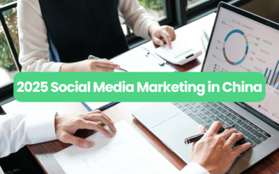 2025 Trends in Social Media and KOL Marketing in China