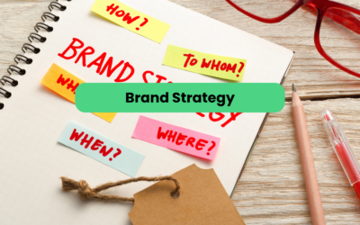 Why does brand strategy influence business organization?
